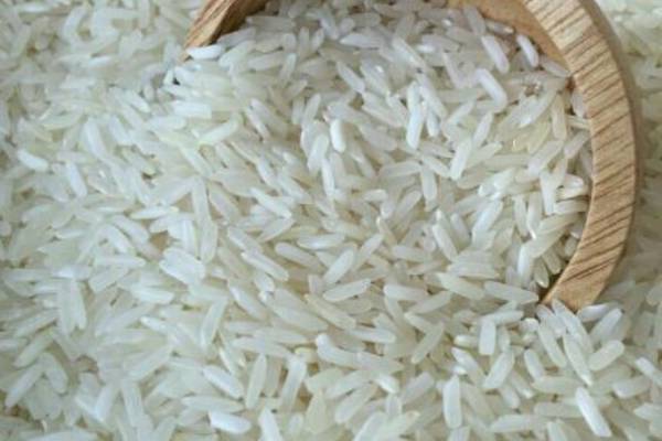 قیمت خرید برنج شمال طارم عمده به صرفه و ارزان